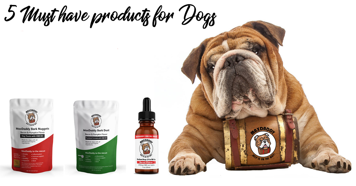 5 Musthave Products For Dogs